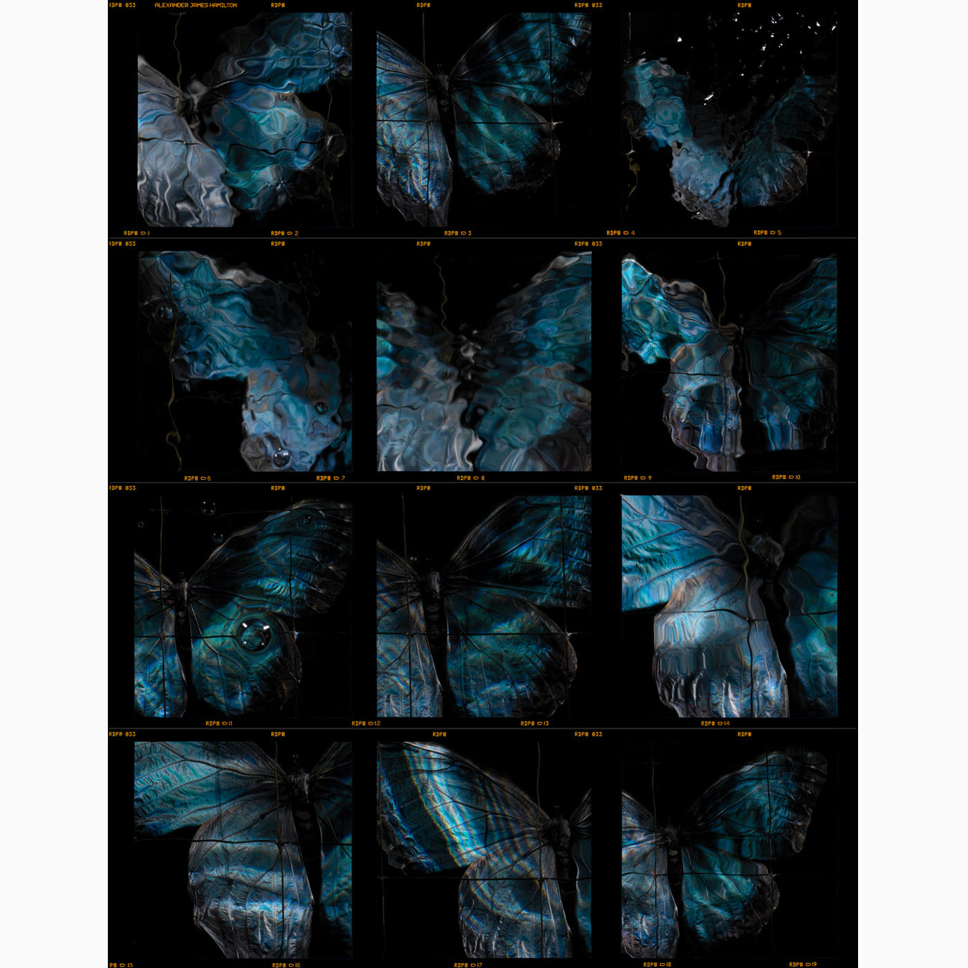120 E6 roll film contact sheet