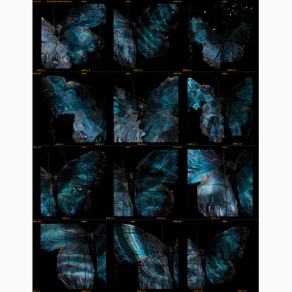 120 E6 roll film contact sheet