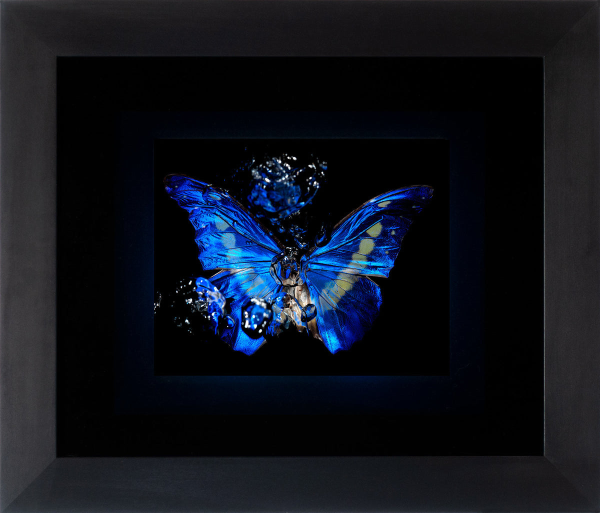 Additional view of Transparency of a dream - No I., underwater analogue butterfly photograph by Alexander James Hamilton