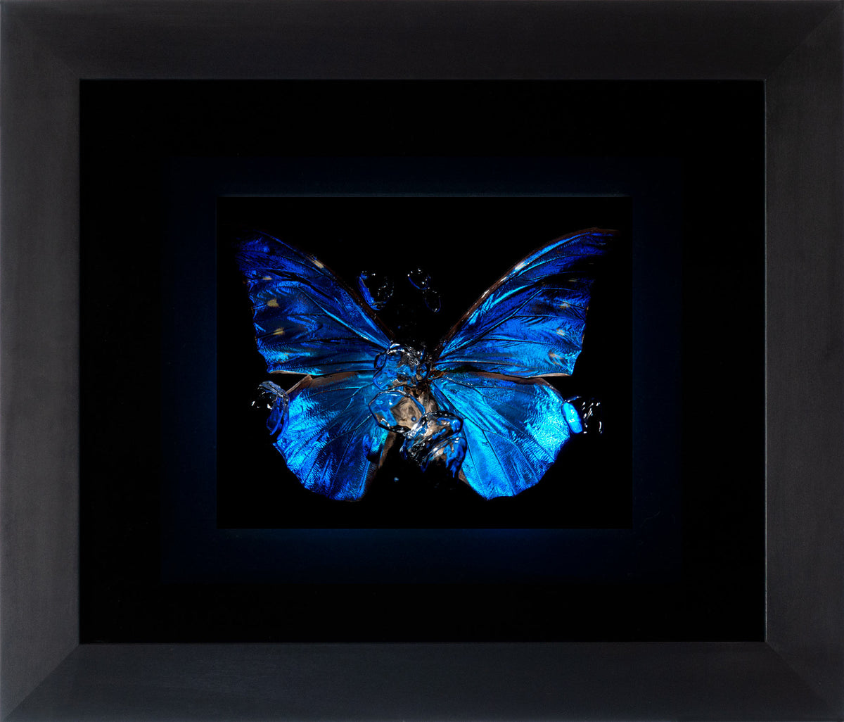 Additional view of Transparency of a dream - No II., underwater analogue butterfly photograph by Alexander James Hamilton