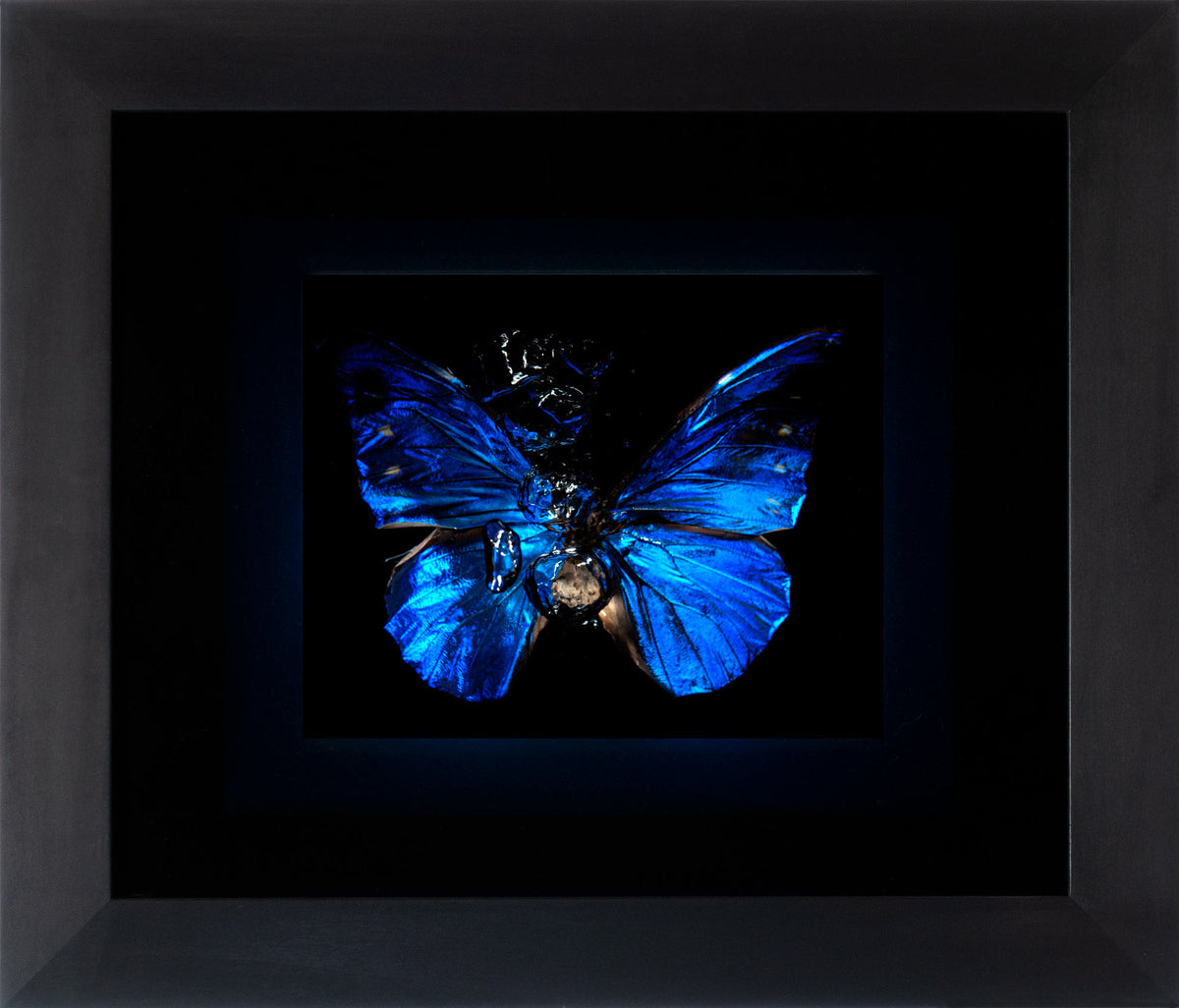 Additional view of Transparency of a dream - No III., underwater analogue butterfly photograph by Alexander James Hamilton
