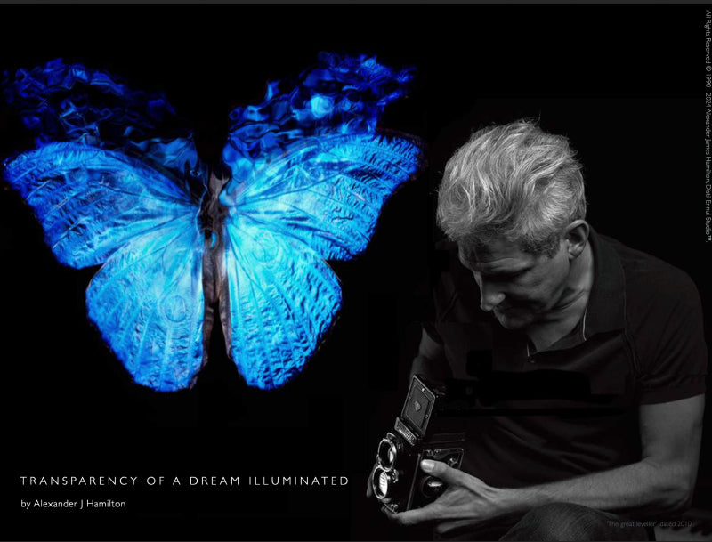 ‘Transparency of a Dream Illuminated’