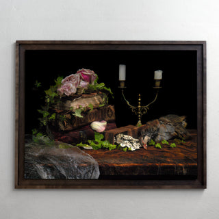 Untitled Plate 5253, underwater analogue still life photograph by Alexander James Hamilton