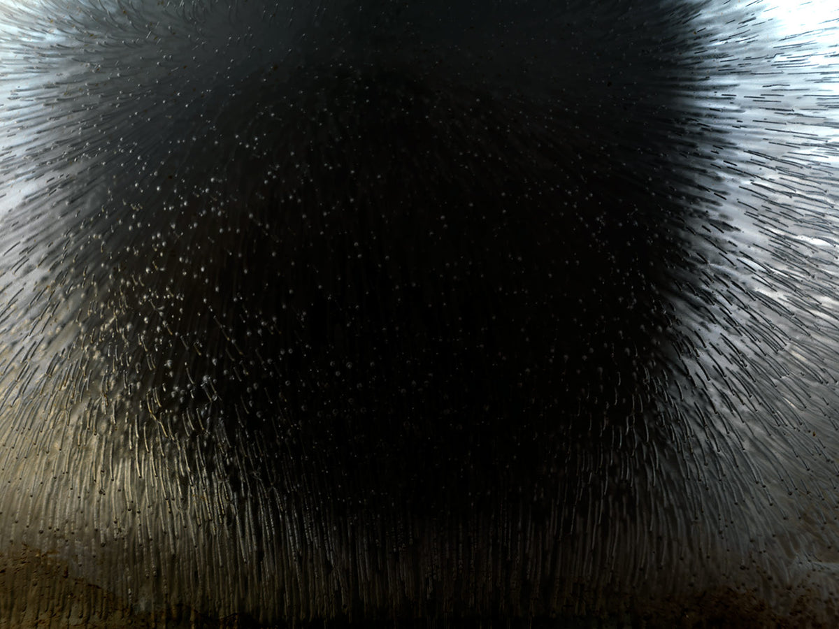 Additional view of Dark Matter, analogue photograph exploring oil, water and light by Alexander James Hamilton