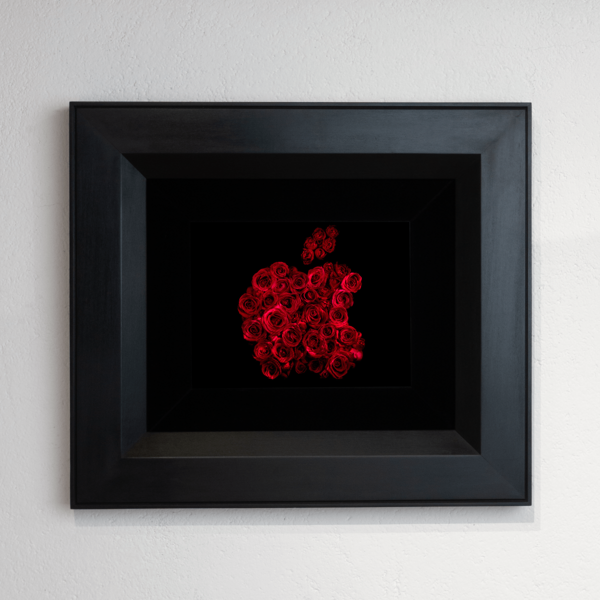 Apple, analogue photograph from the artwork archive by Alexander James Hamilton