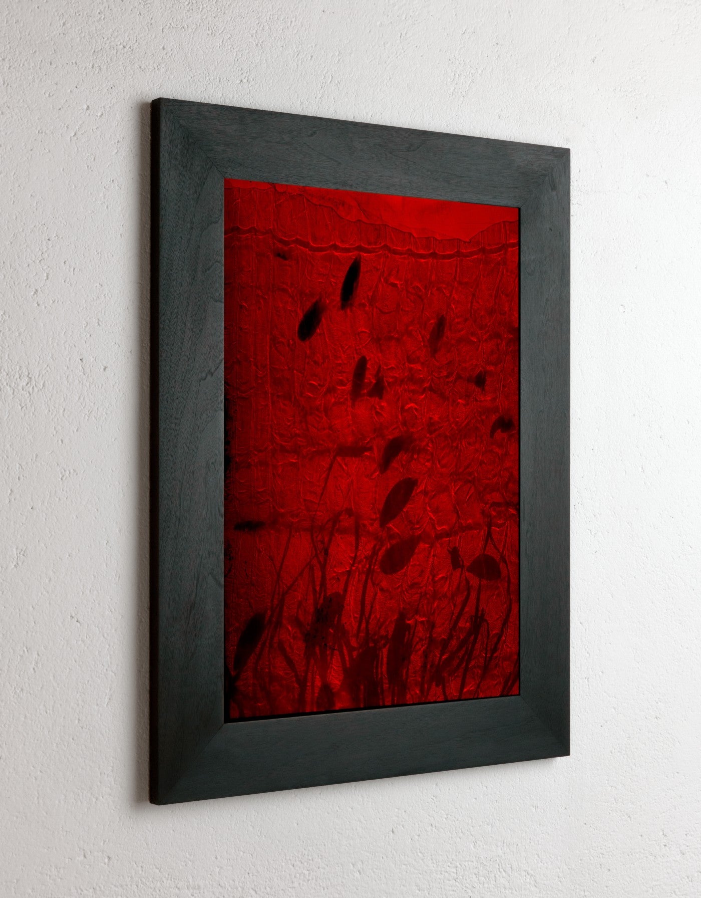 8 x 10 inch PhotoGram, Plate 0117