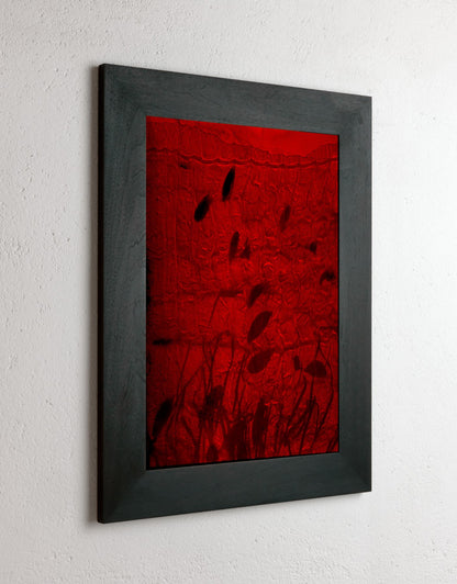 8 x 10 inch PhotoGram, Plate 0117