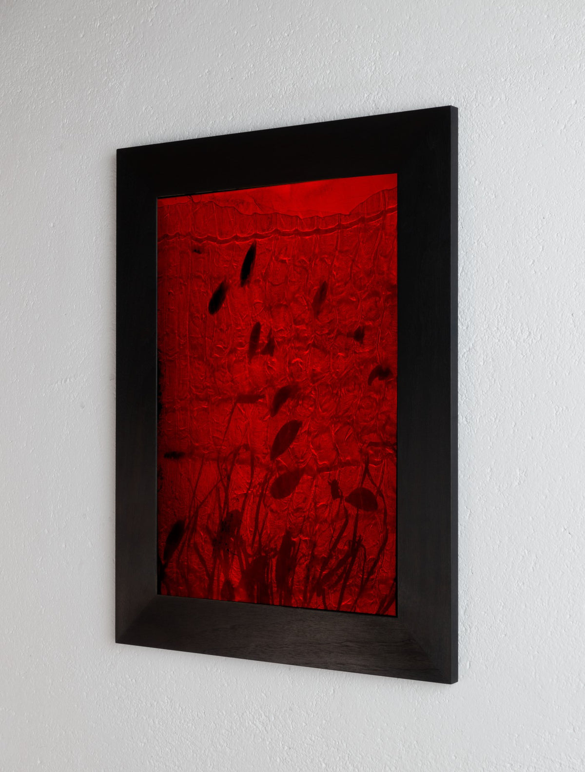 Right side view of 8 x 10 inch PhotoGram, Plate 0117, direct analogue PhotoGram by Alexander James Hamilton