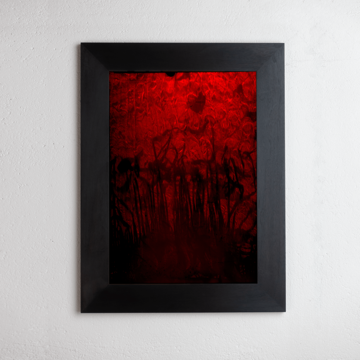 8 x 10 inch PhotoGram, Plate 0119, direct analogue PhotoGram by Alexander James Hamilton
