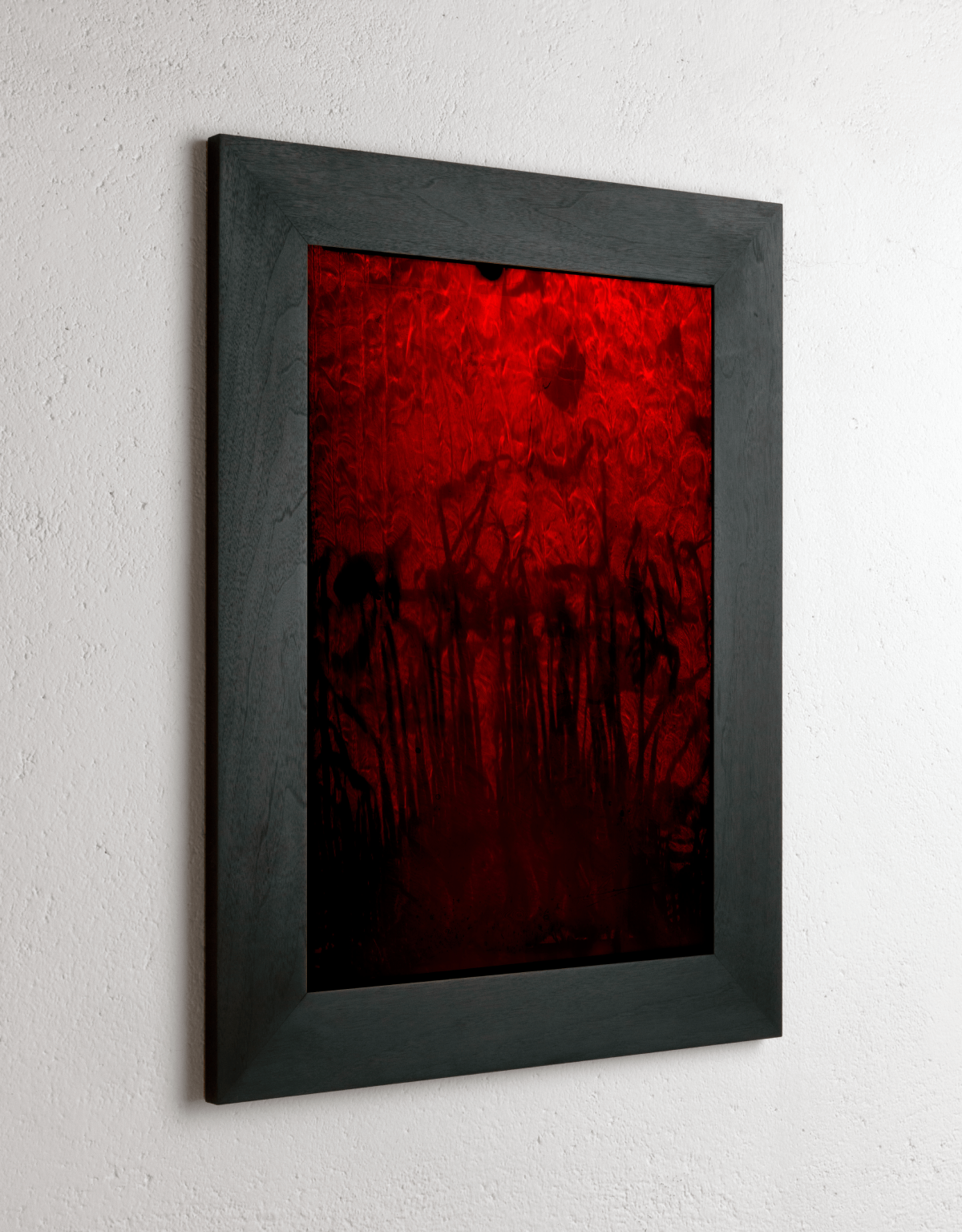 Left side view of 8 x 10 inch PhotoGram, Plate 0119, direct analogue PhotoGram by Alexander James Hamilton