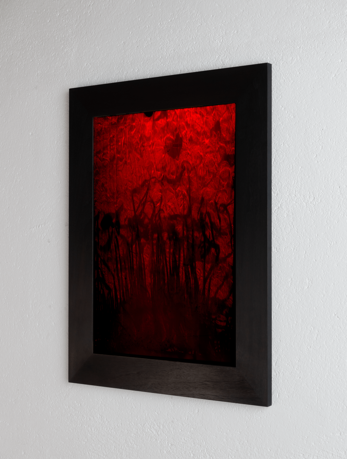 Right side view of 8 x 10 inch PhotoGram, Plate 0119, direct analogue PhotoGram by Alexander James Hamilton