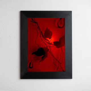 8 x 10 inch PhotoGram, Plate 0100, direct analogue PhotoGram by Alexander James Hamilton