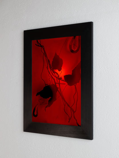 8 x 10 inch PhotoGram, Plate 0100