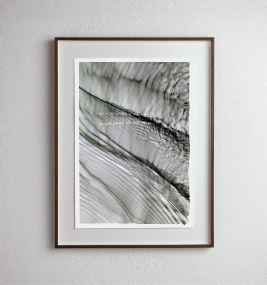 politics by other means (plate 0442)