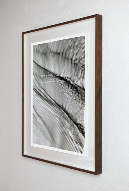 politics by other means (plate 0442)