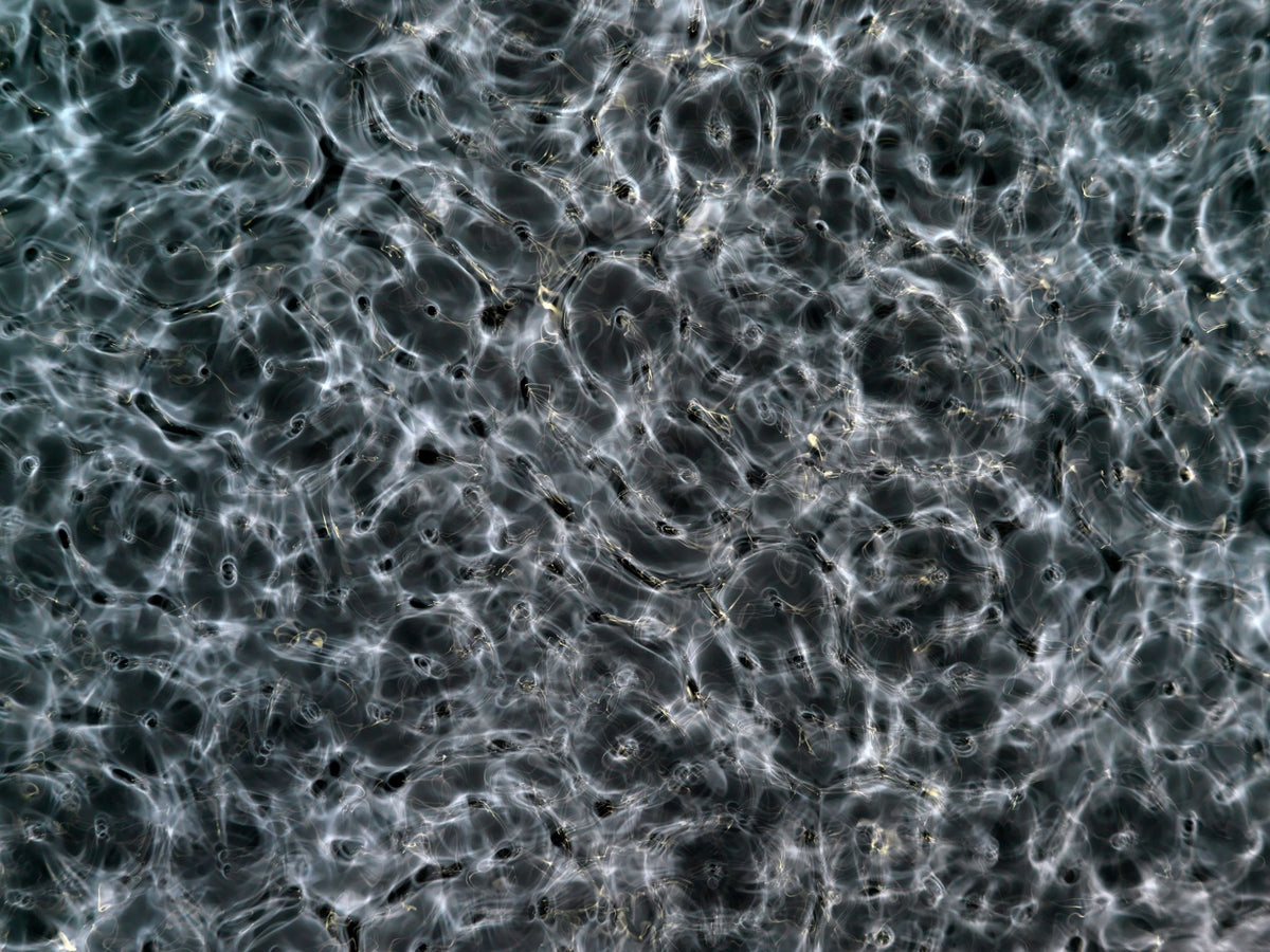 Detail of Cymatic Plate 0115 showing fluid light patterns formed through resonance in water, analogue photograph by Alexander James Hamilton