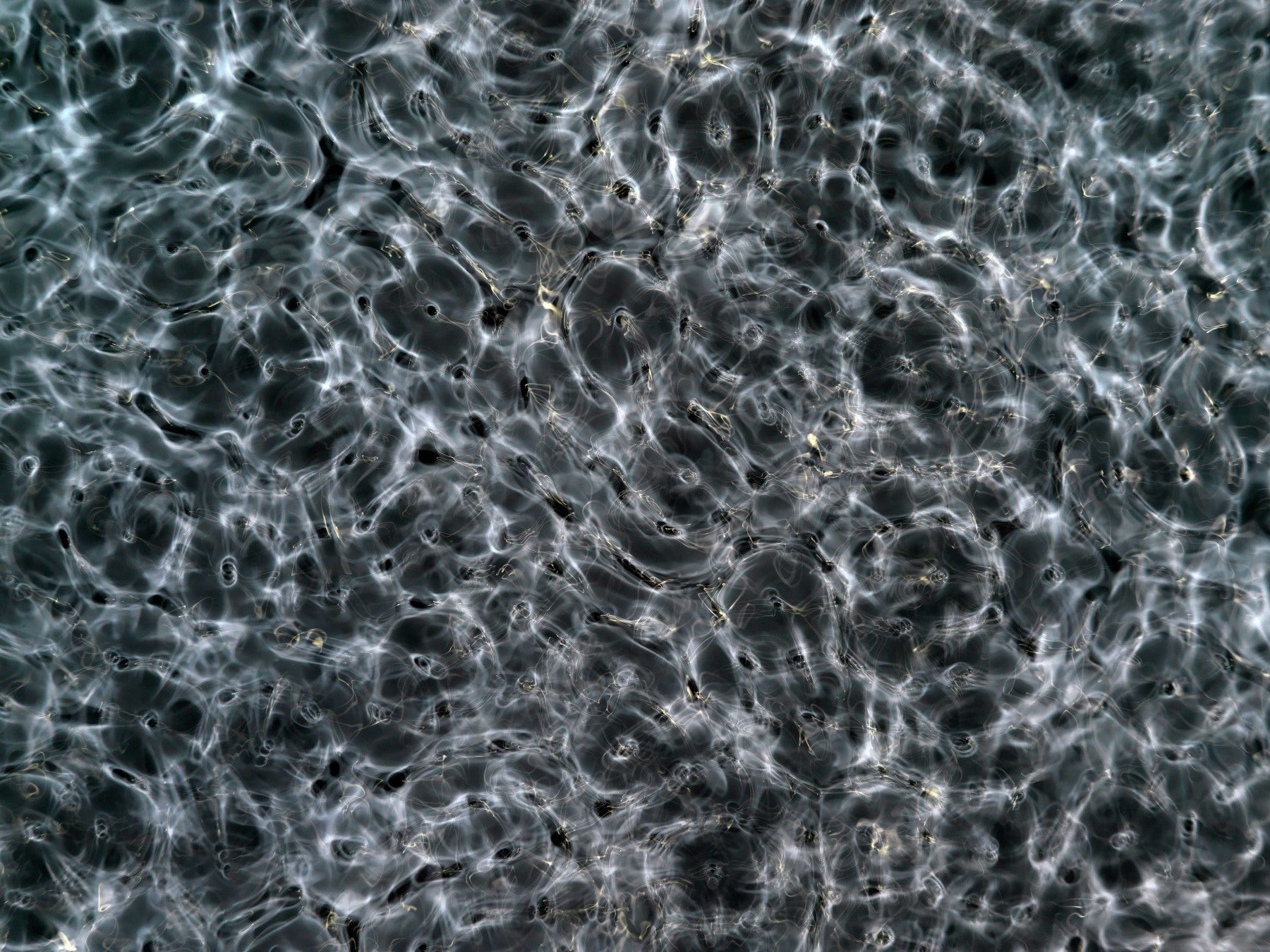 Detail of Cymatic Plate 0115 showing fluid light patterns formed through resonance in water, analogue photograph by Alexander James Hamilton