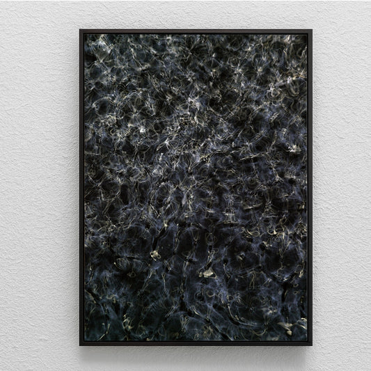 Cymatic Plate 0161-1, analogue photograph by Alexander James Hamilton, created using water, light and resonance physics, unique work