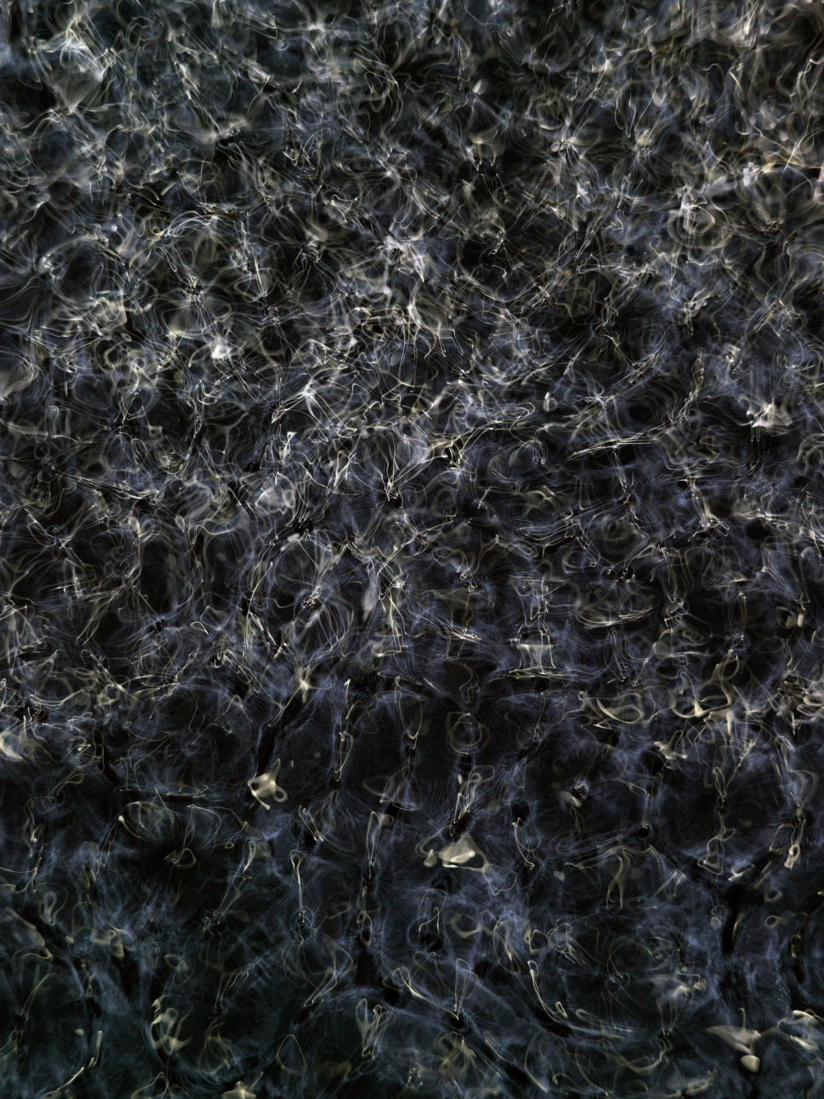 Detail of Cymatic Plate 0161-1 showing fluid light patterns formed through resonance in water, analogue photograph by Alexander James Hamilton