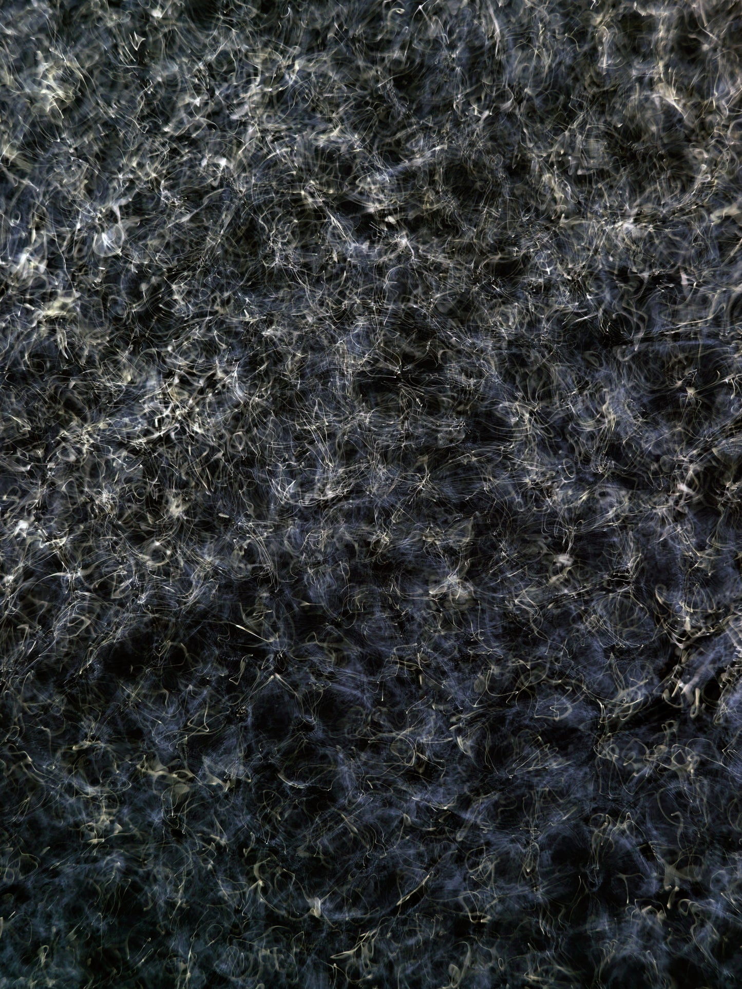Detail of Cymatic Plate 0161 showing fluid light patterns formed through resonance in water, analogue photograph by Alexander James Hamilton