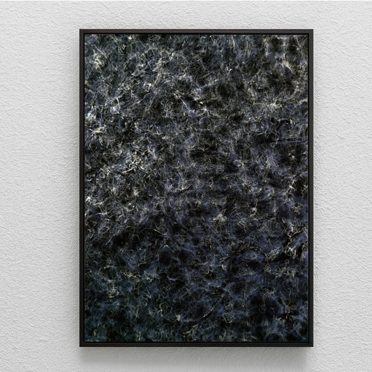 Cymatic Plate 0161, analogue photograph by Alexander James Hamilton, created using water, light and resonance physics, unique work