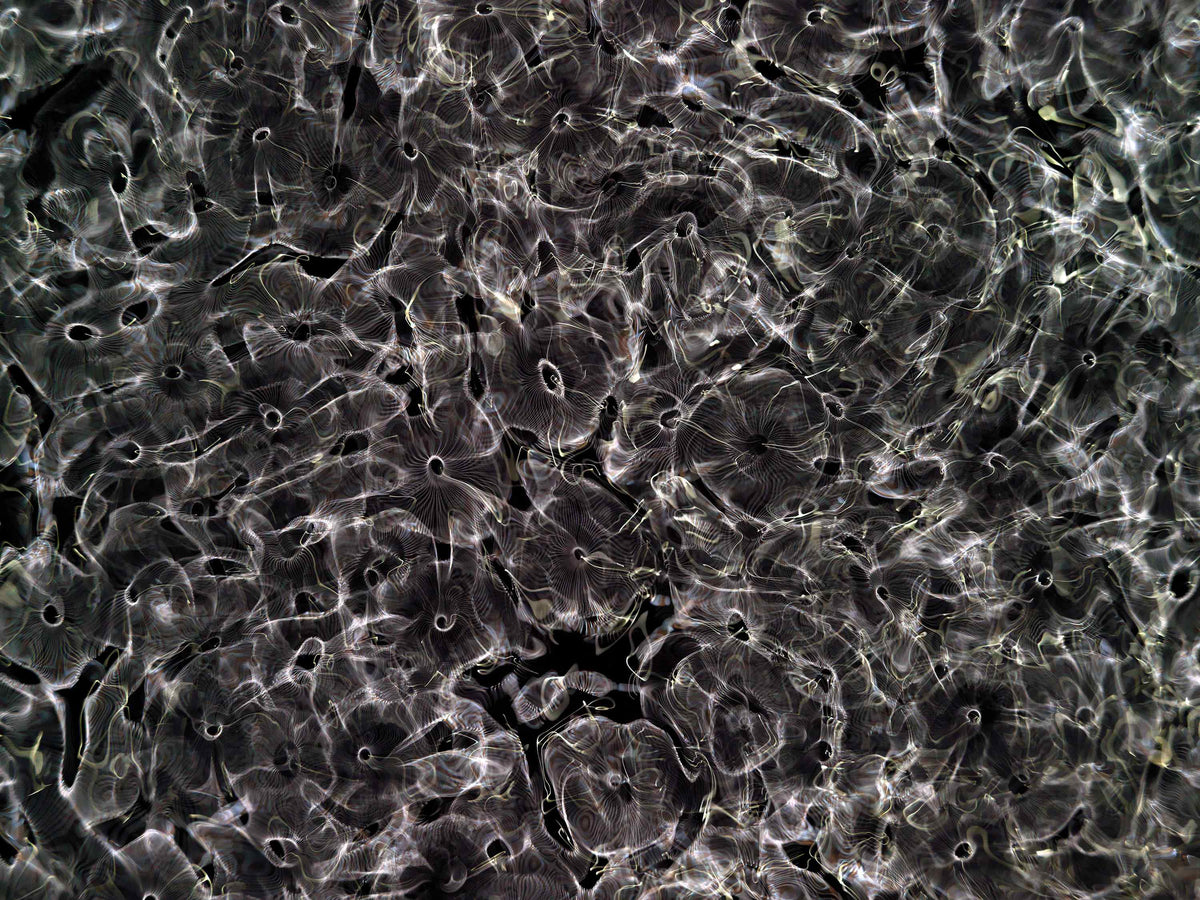 Detail of Cymatic Plate 0166 showing fluid light patterns formed through resonance in water, analogue photograph by Alexander James Hamilton