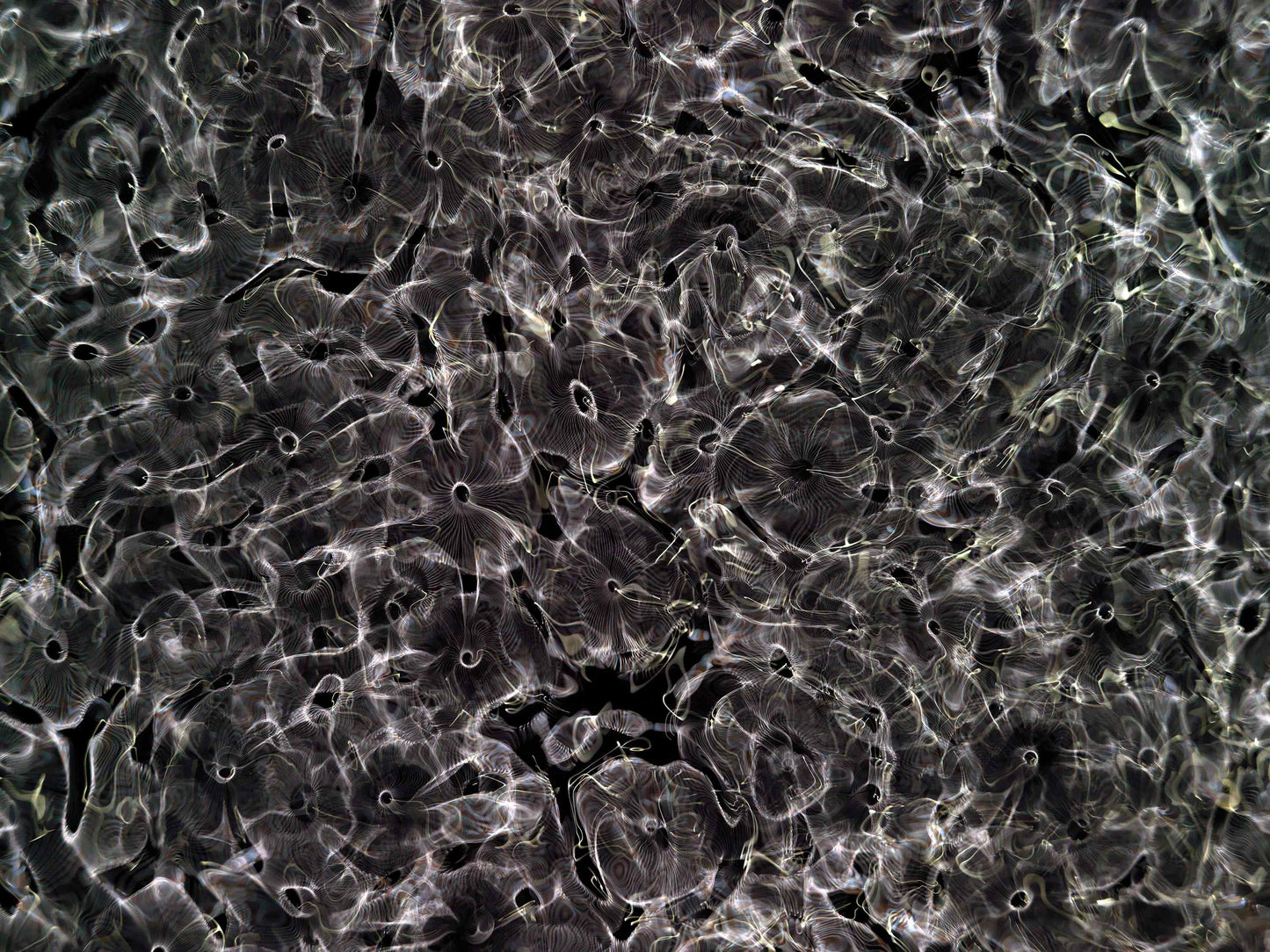 Detail of Cymatic Plate 0166 showing fluid light patterns formed through resonance in water, analogue photograph by Alexander James Hamilton