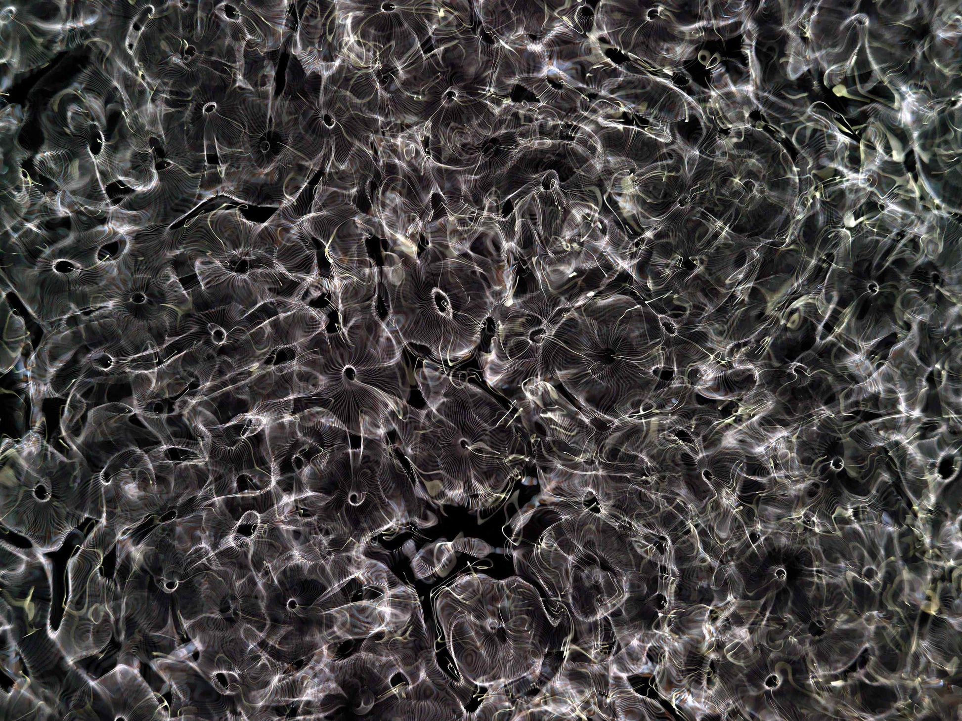 Detail of Cymatic Plate 0166 showing fluid light patterns formed through resonance in water, analogue photograph by Alexander James Hamilton