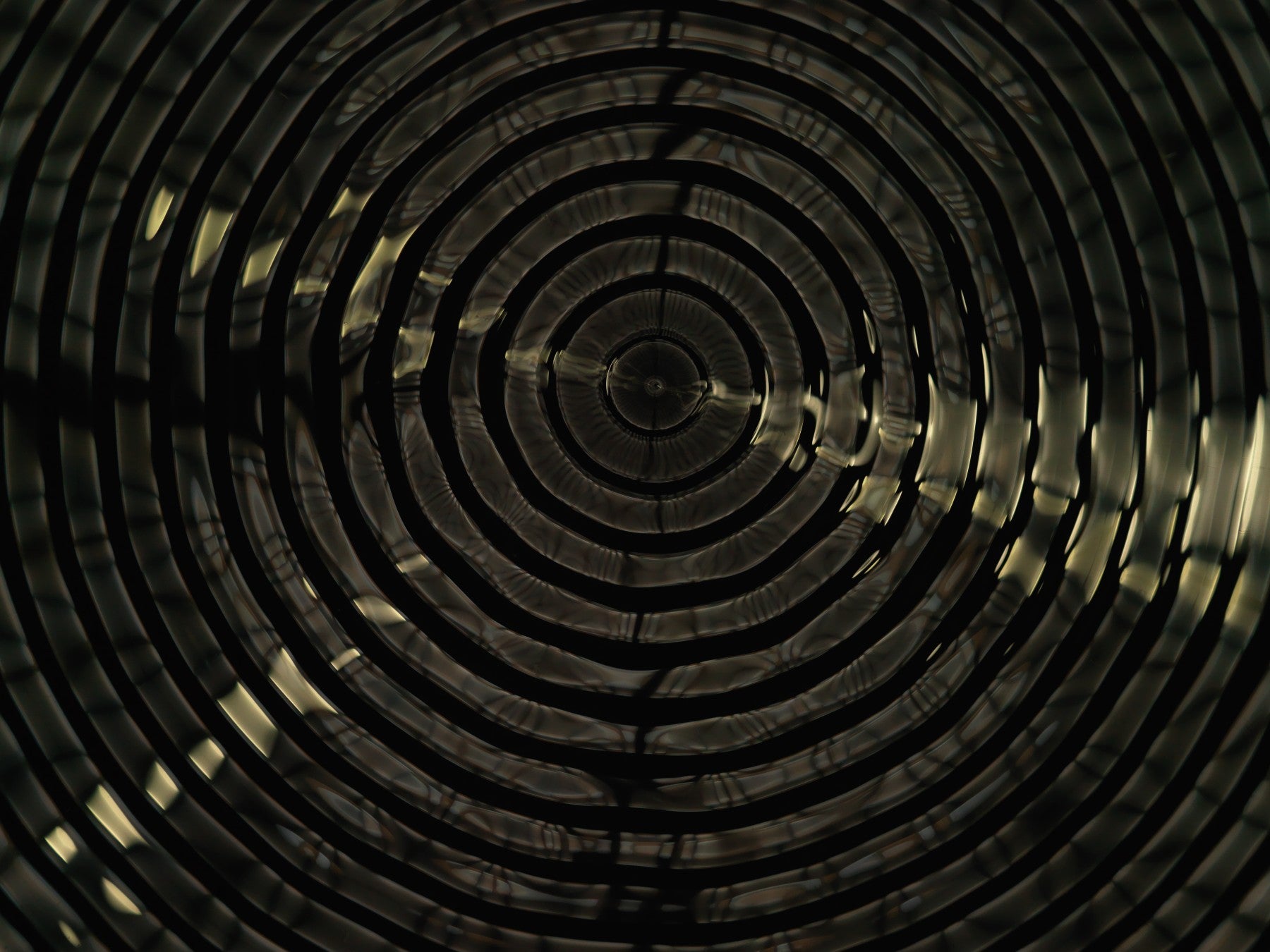Detail of Cymatic Plate 0181 showing fluid light patterns formed through resonance in water, analogue photograph by Alexander James Hamilton