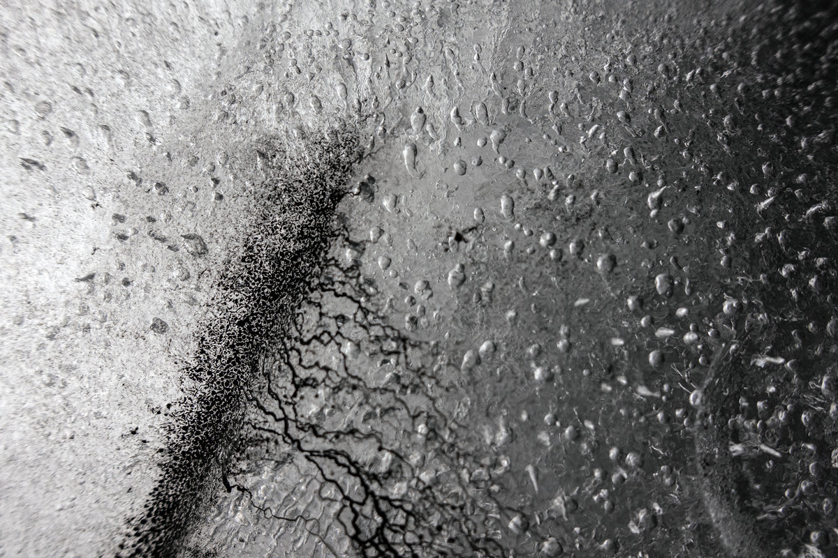 framed analogue photographic work from the Empirical Research & Evidence series by Alexander James Hamilton