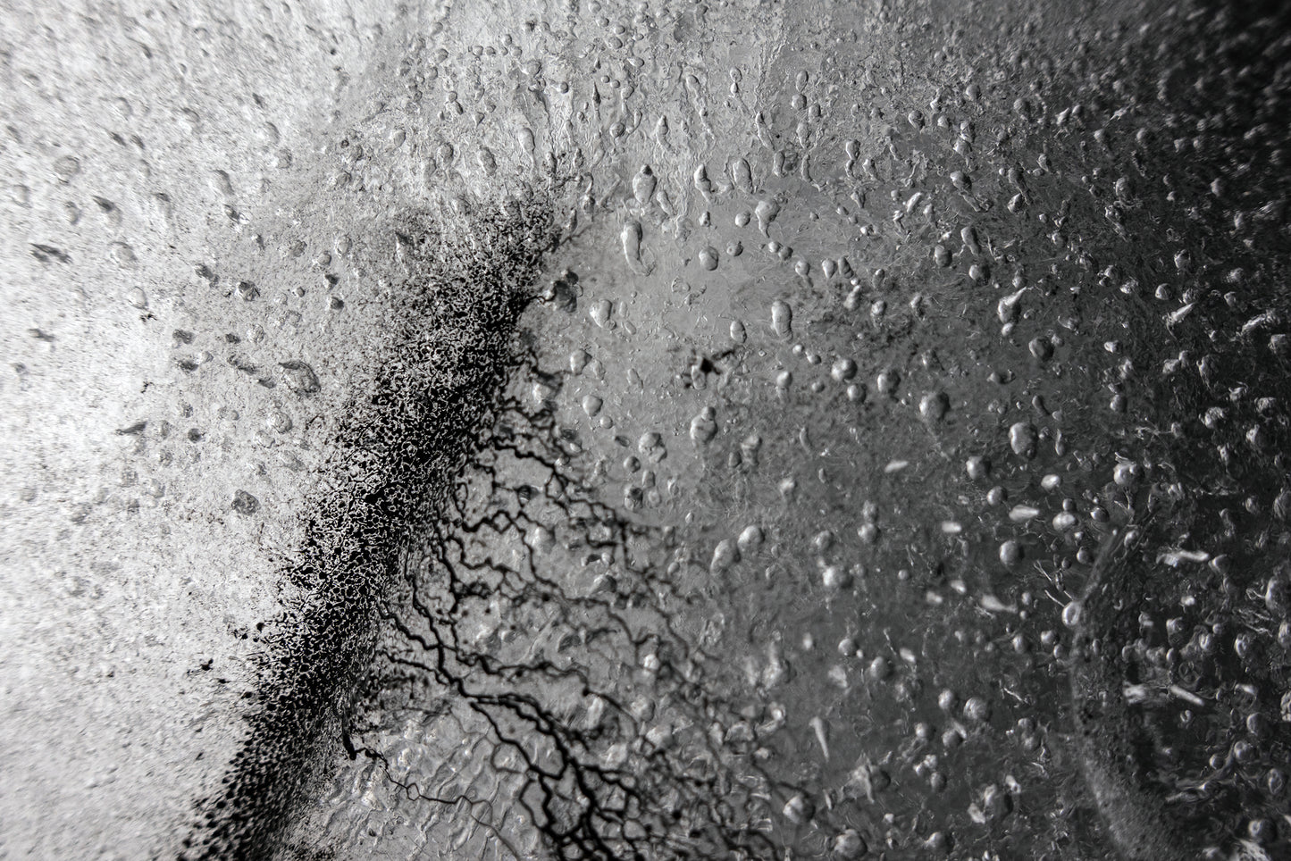 Empirical Research & Evidence No. 0865