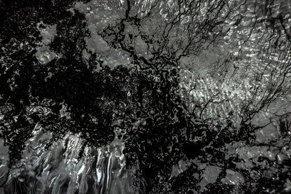 Empirical Research & Evidence No. 0427