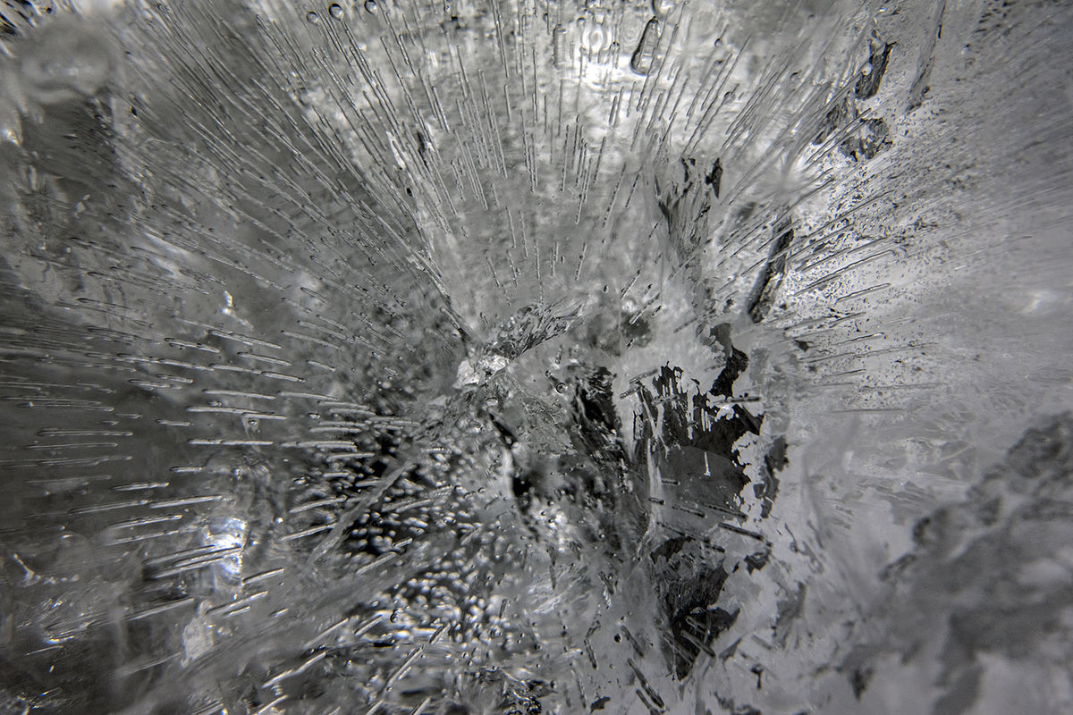 analogue photographic study from the Empirical Research & Evidence series by Alexander James Hamilton