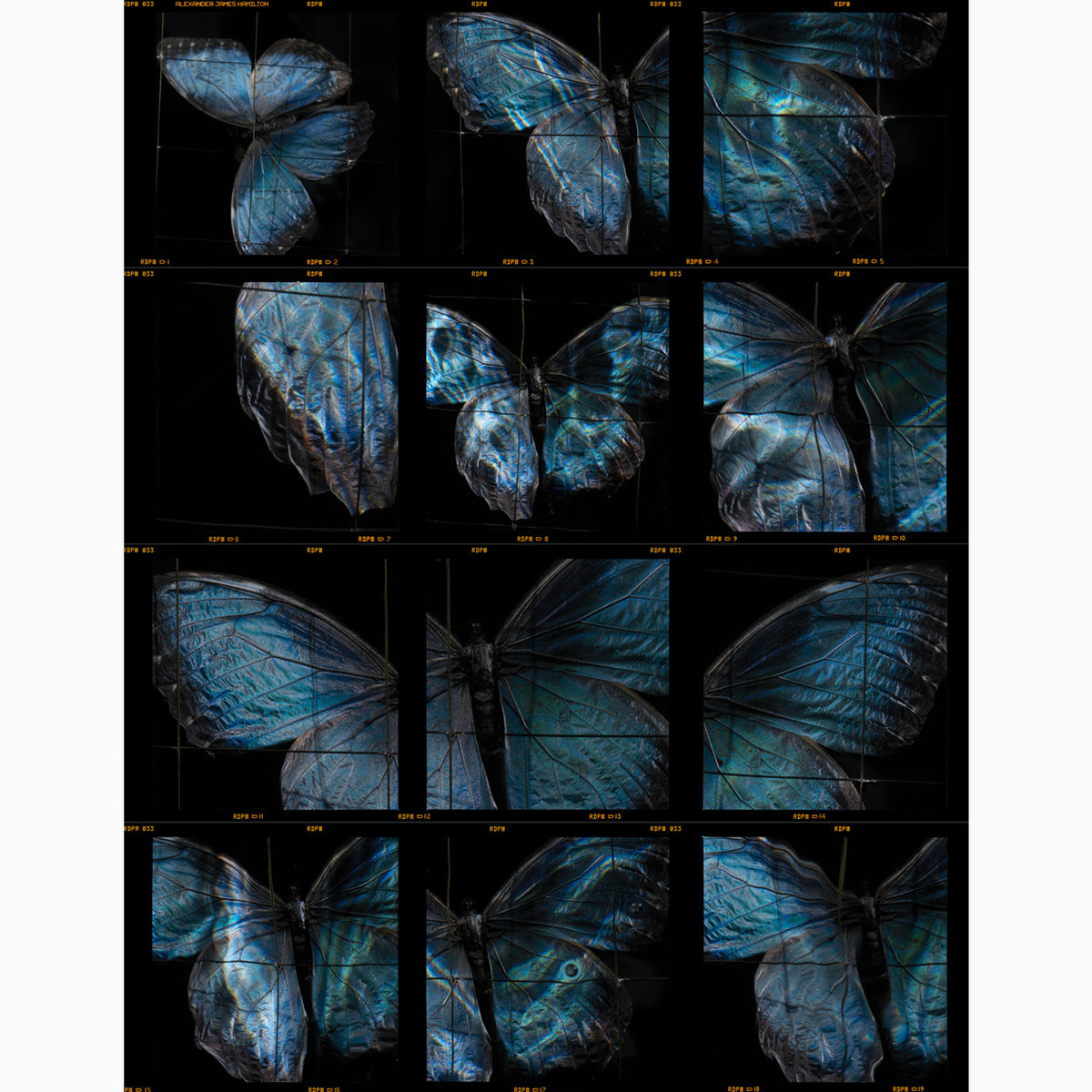 CONTACT STATES full frame 120 positive E6 Contact Sheet darkroom print