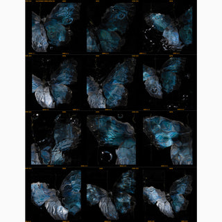 artist Alexander James Hamilton releases contact sheet prints direct from the darkroom