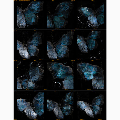 artist Alexander James Hamilton releases contact sheet prints direct from the darkroom