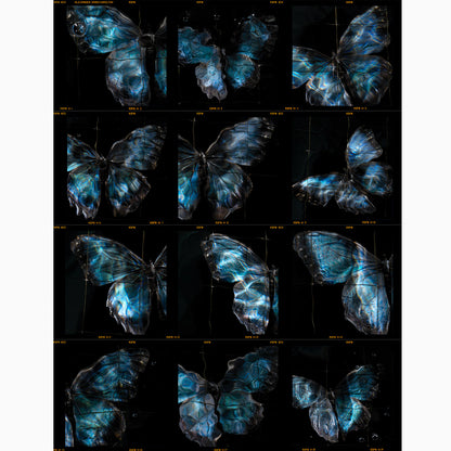 contact sheet darkroom prints an unedited collection by artist Alexander James Hamilton