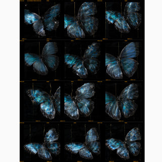 a rare release of a fine art photographers contact sheets unique and collectable prints