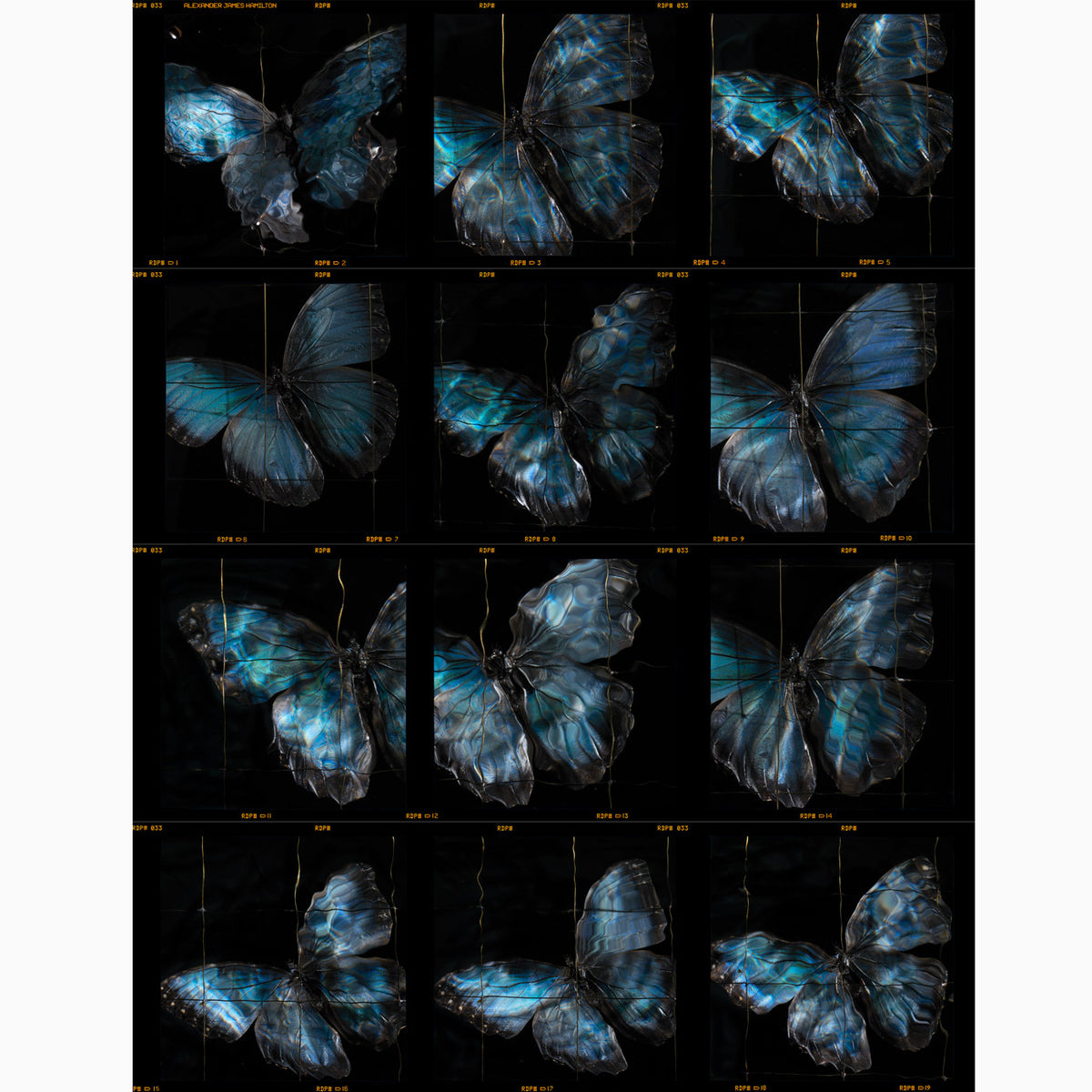 a rare release of a fine art photographers contact sheets unique and collectable prints