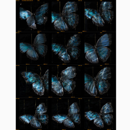 a rare release of a fine art photographers contact sheets unique and collectable prints