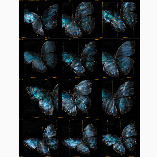 a rare release of a fine art photographers contact sheets unique and collectable prints