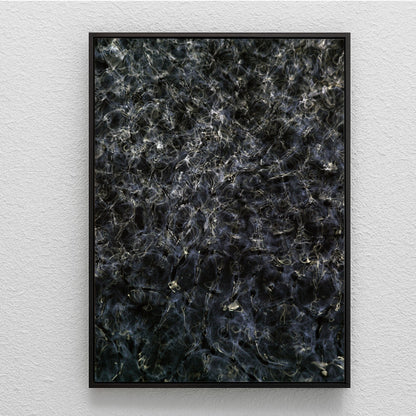 Cymatic Plate 0161-1, Artists Proof I