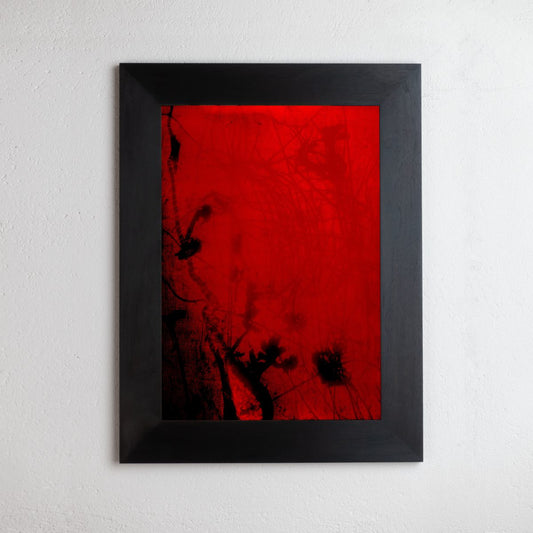 8 x 10 inch PhotoGram, Green buds & net