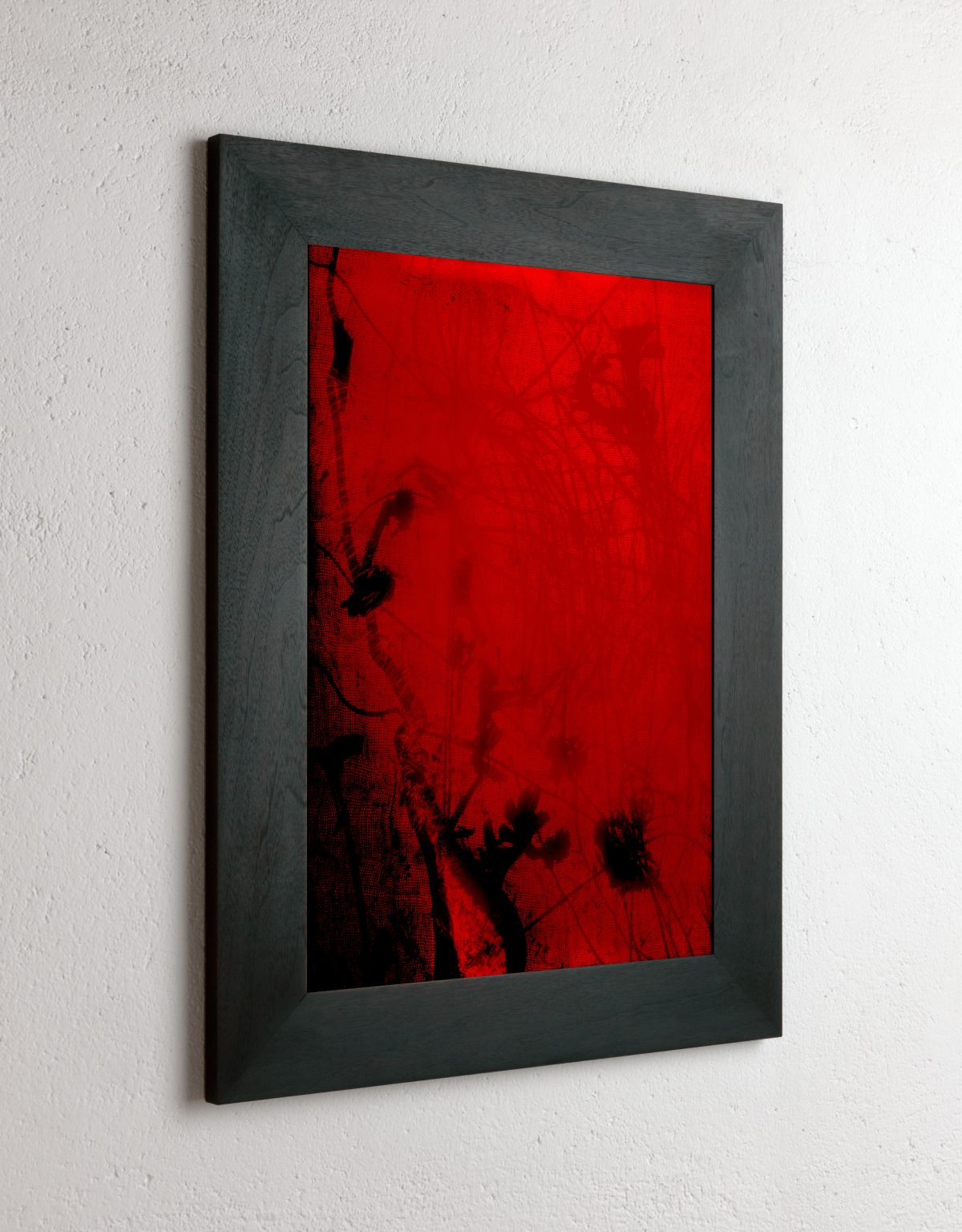 8 x 10 inch PhotoGram, Green buds & net