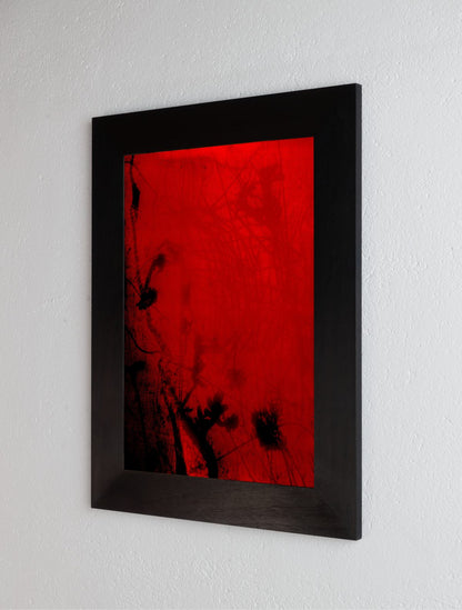 8 x 10 inch PhotoGram, Green buds & net