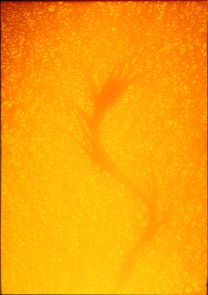 8 x 10 inch PhotoGram, Sack & vine