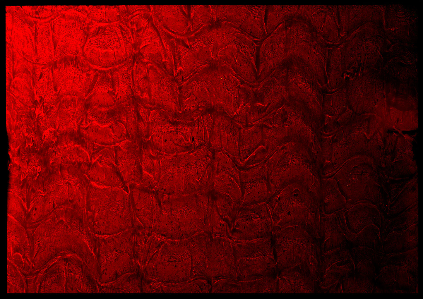 8 x 10 inch PhotoGram, Evian bottle