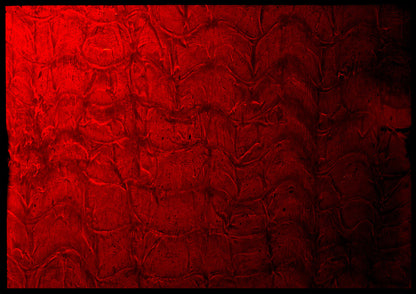 8 x 10 inch PhotoGram, Evian bottle