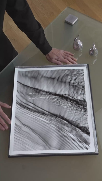 politics by other means (plate 0442)