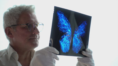 Transparency of a dream No. 0813-28